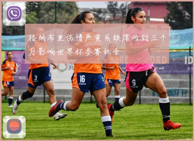 格纳布里伤情严重或缺席两到三个月影响世界杯参赛机会